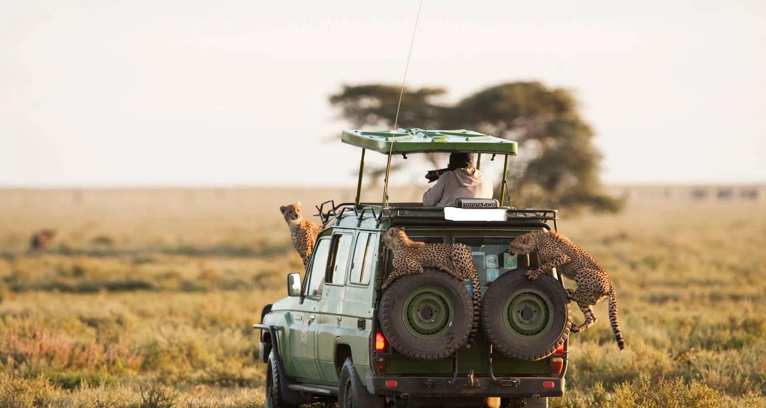 4 Days Masai Mara National Reserve Safari