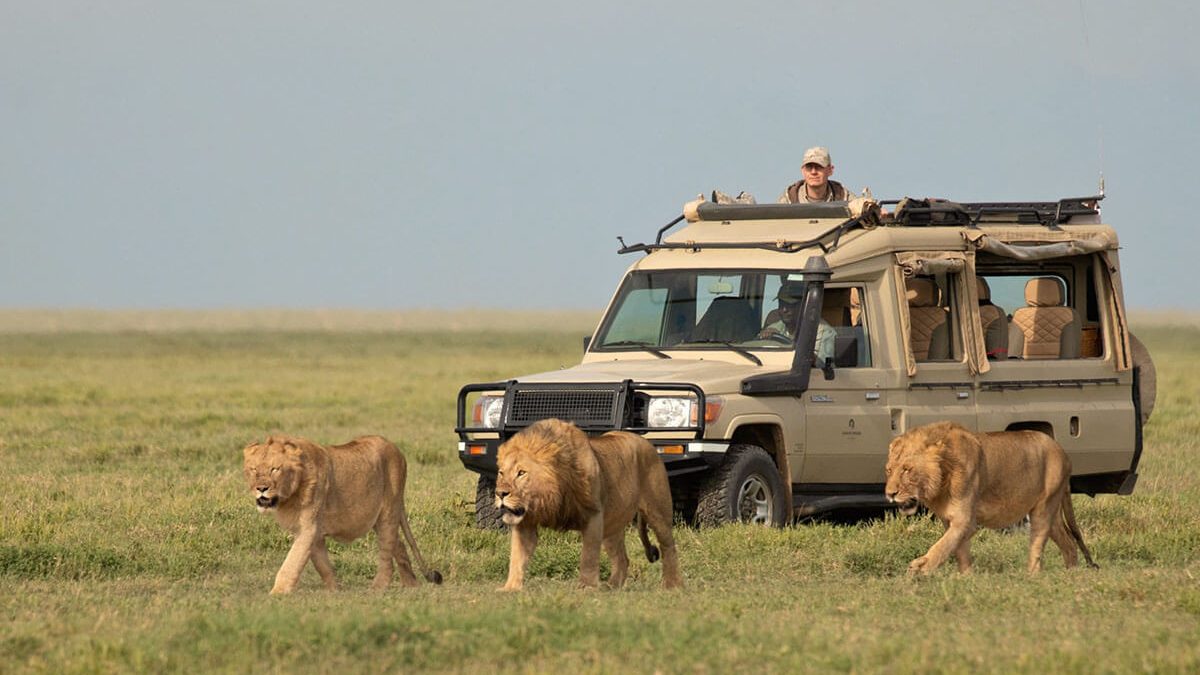 Serengeti national park
