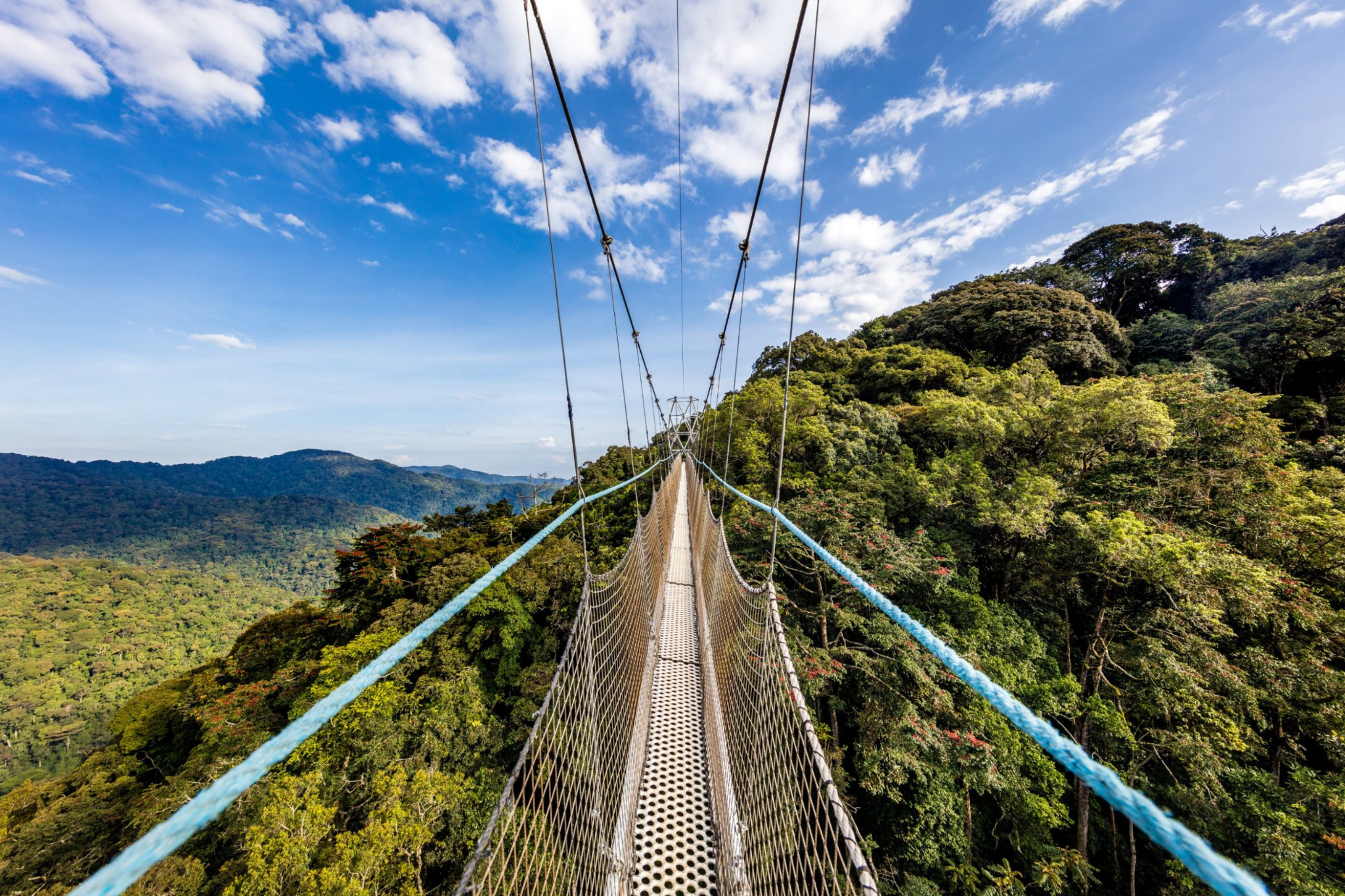1 Day Nyungwe Canopy Walk Holiday Tour