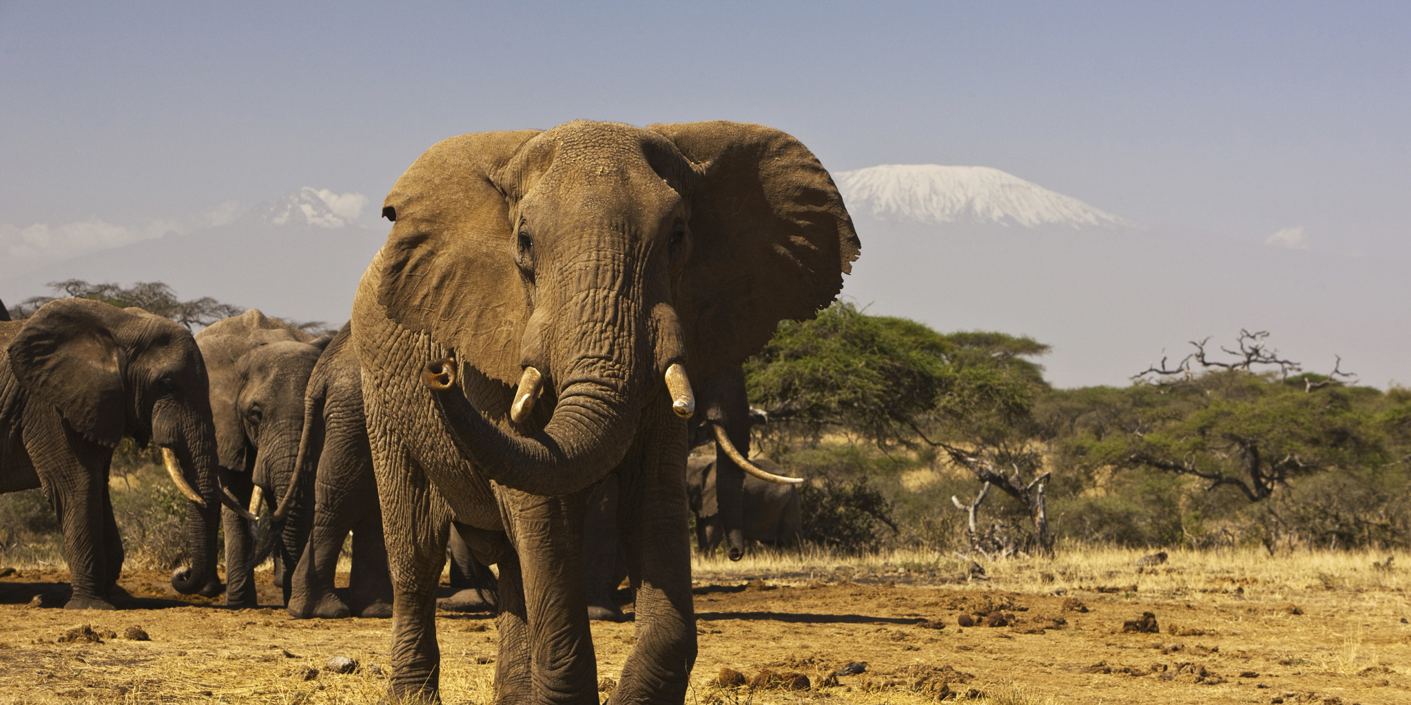 Amboseli National Park