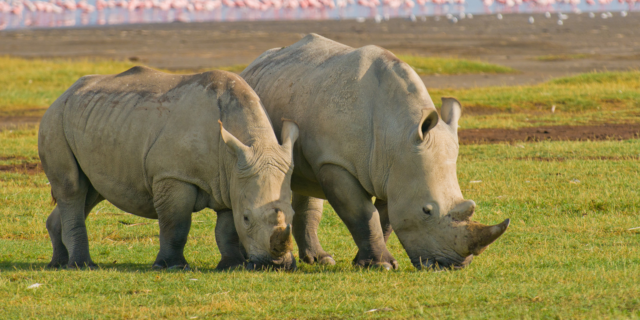 Tourist Attractions in Lake Nakuru National Park