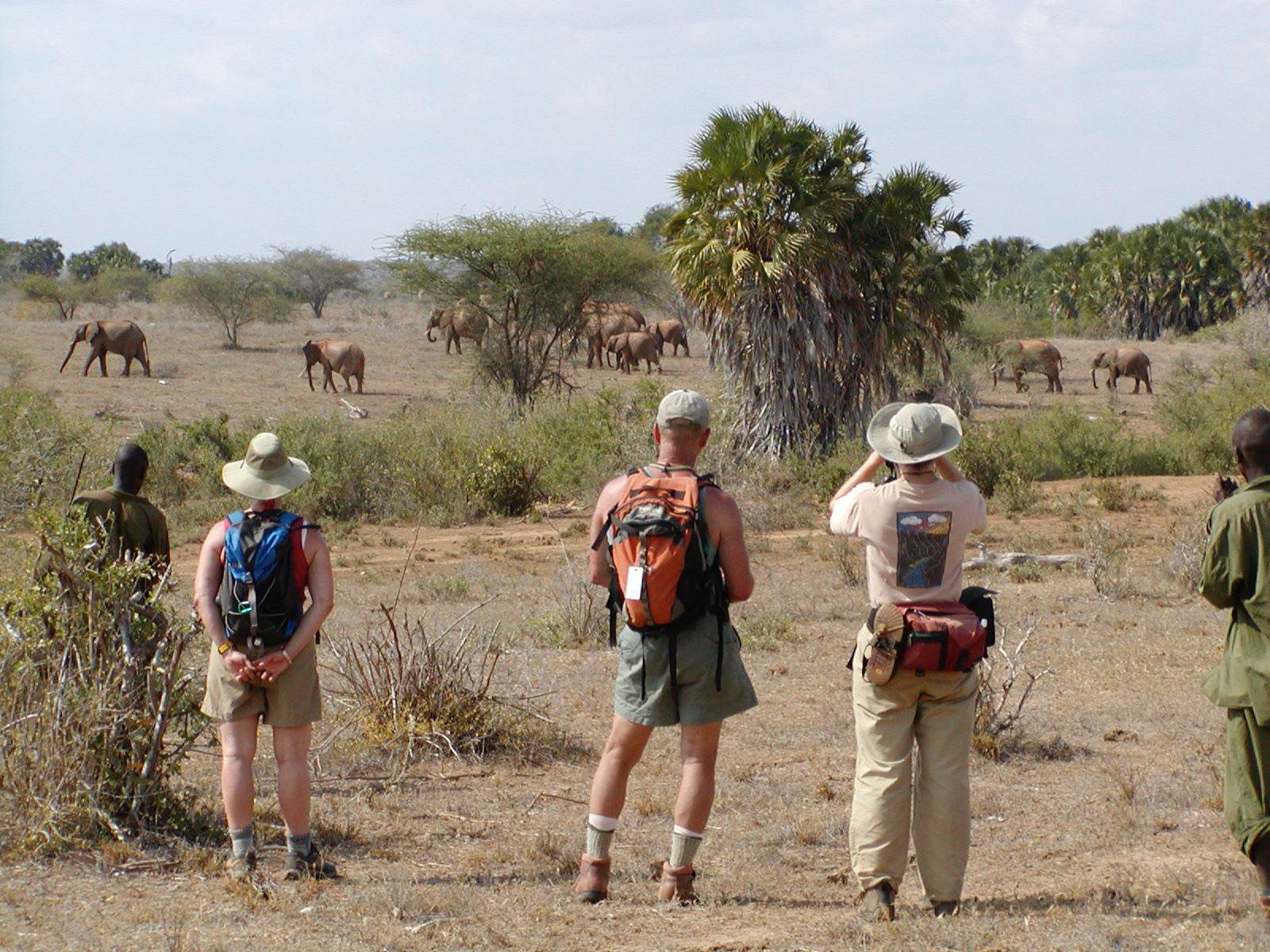 Tsavo West National Park