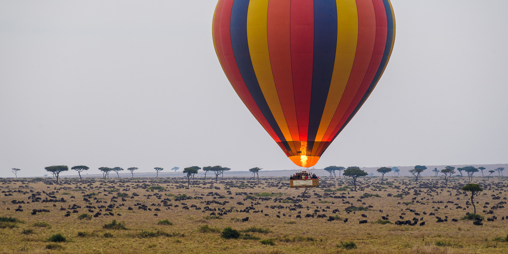 Hot air balloon safaris