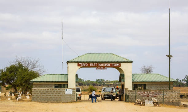 5 Days Amboseli and Tsavo safari