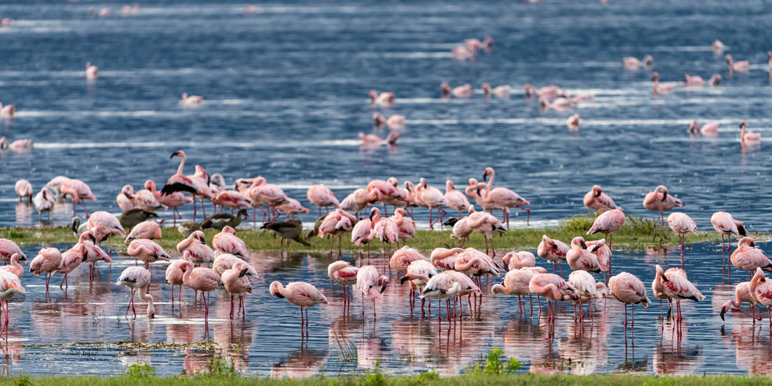 5 Days Kenya Family Safari