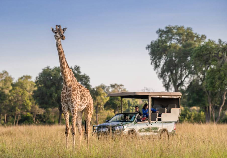3 Days Maasai Mara Wildlife Safari