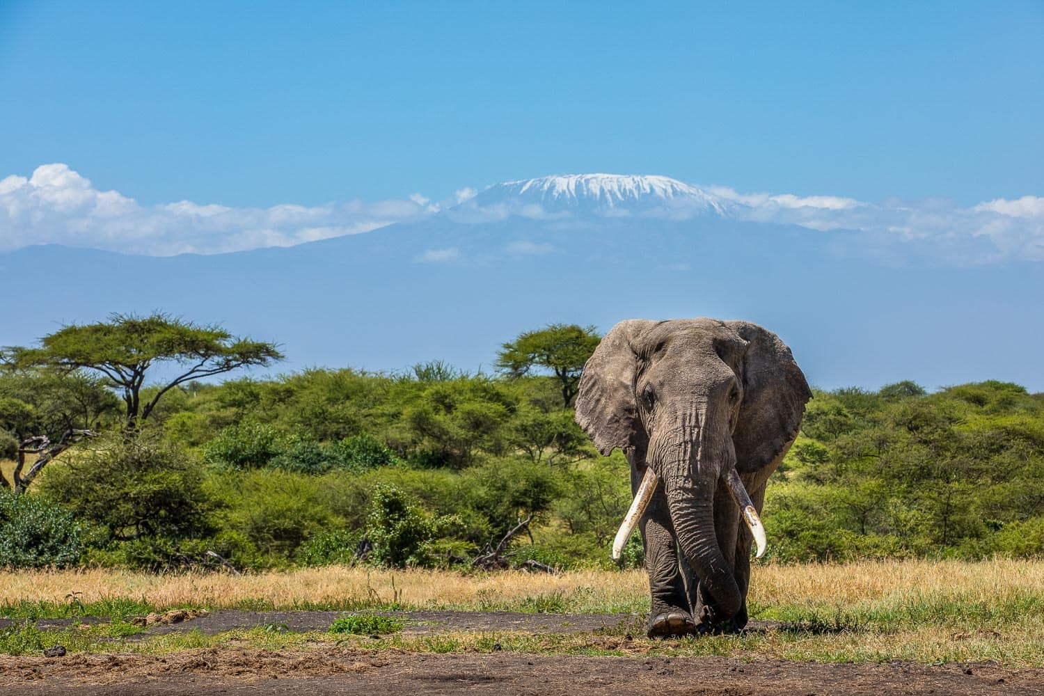 Chyulu Hills National Park
