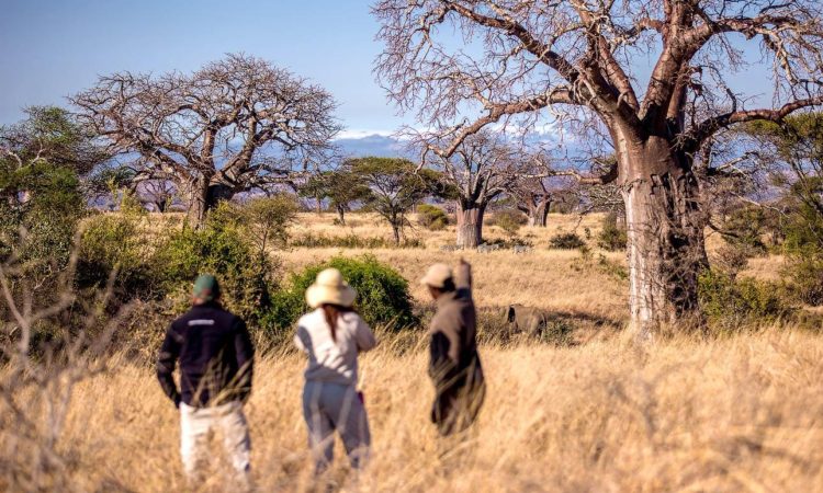 Tarangire National park