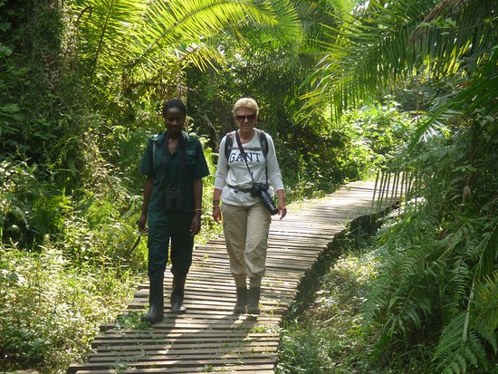 5 Days Uganda Primates and Wildlife Safari