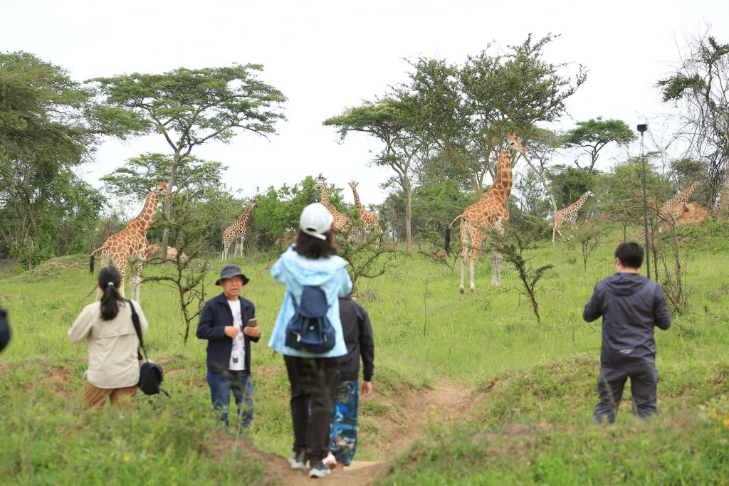 Best Places for Walking Safaris in Uganda & Kenya
