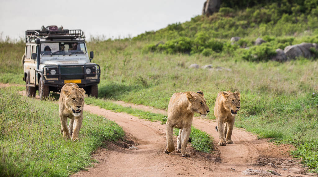 6 Days Tanzania Family Safari