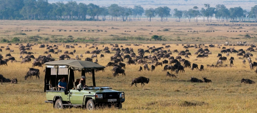 Ultimate Guide to an African Safari in Kenya