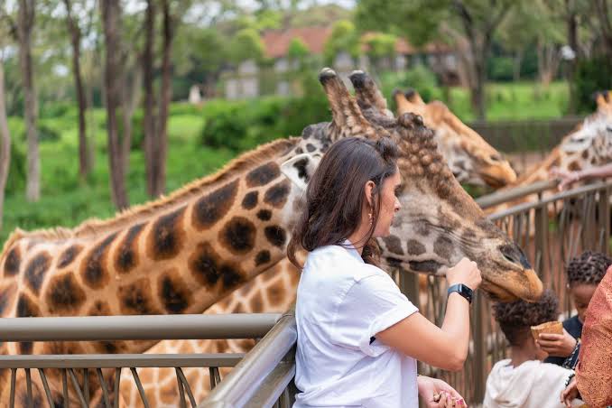 Where to Go in East Africa to See Giraffes