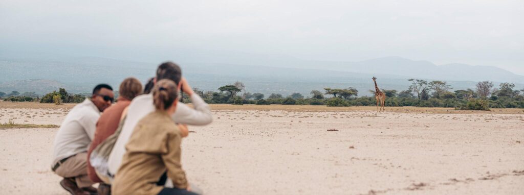 Group Tour vs Tailor Made Safari
