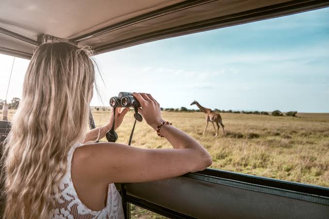 Kenya Photo Safari