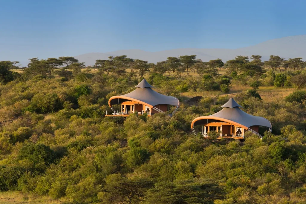 Luxury Safaris in Kenya