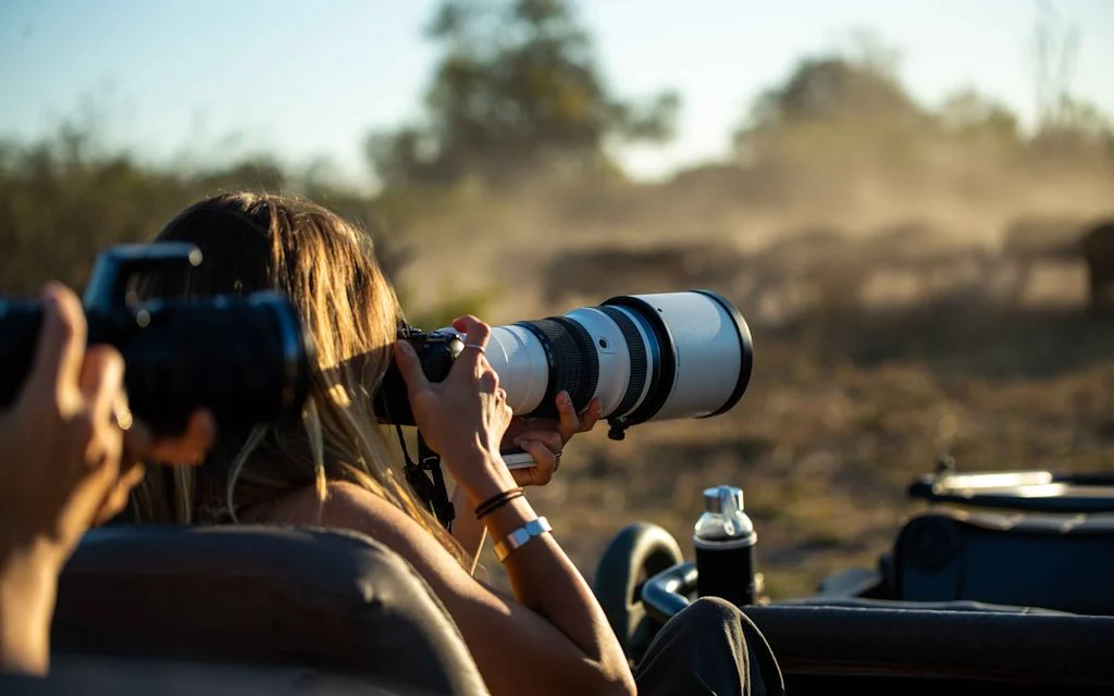 Photographer's Safari