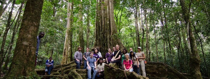 Kakamega Forest National Reserve