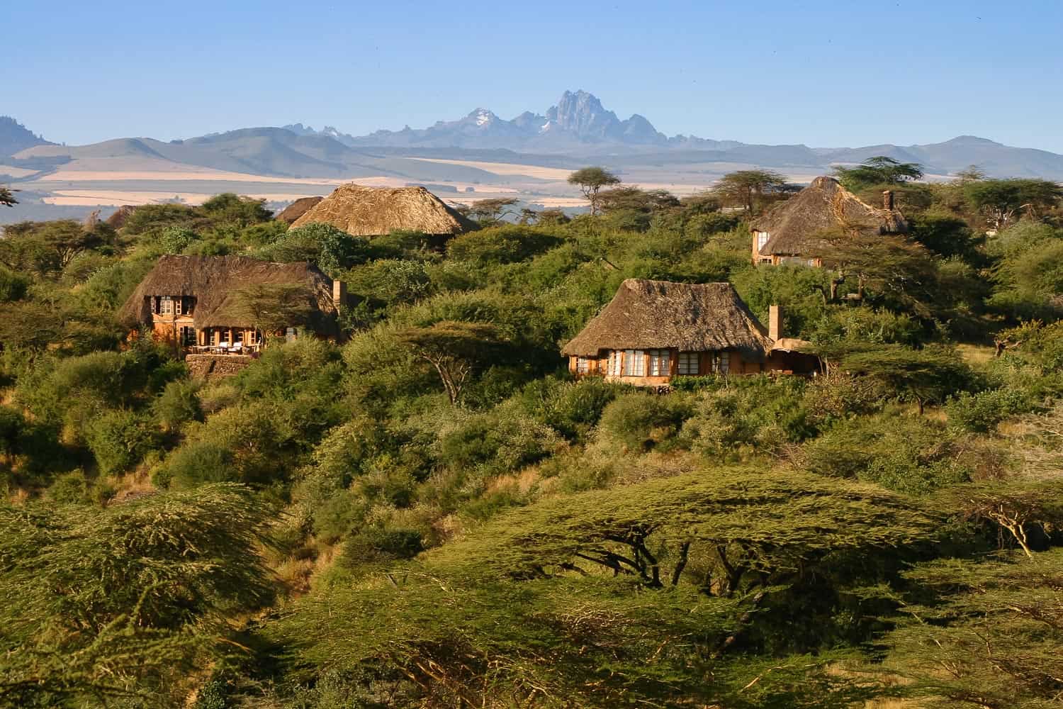 Lewa Wildlife Conservancy