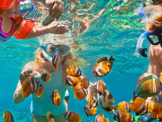 Malindi Marine National Reserve