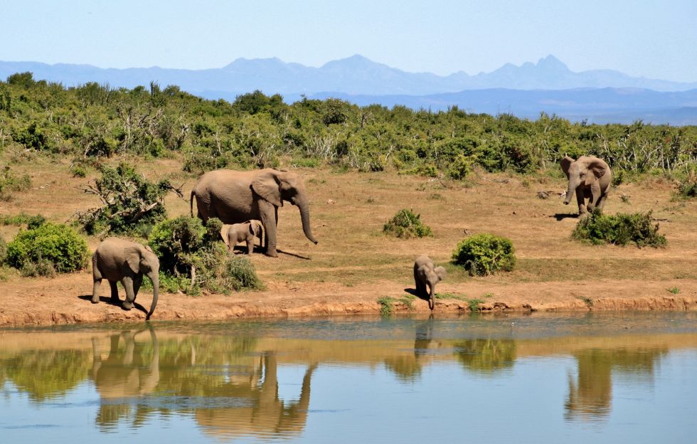 Malka Mari National Park