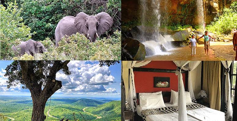 Shimba Hills National Reserve