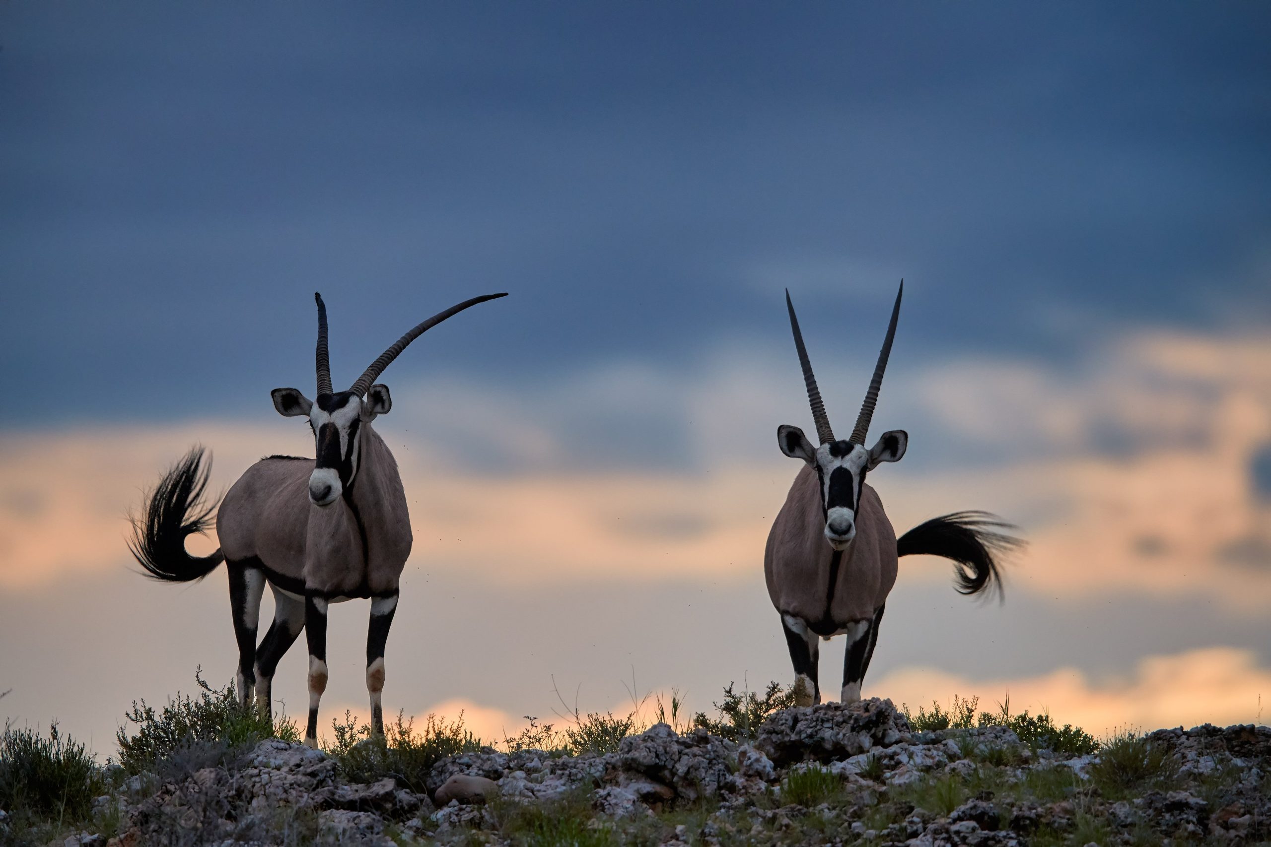 Malka Mari National Park