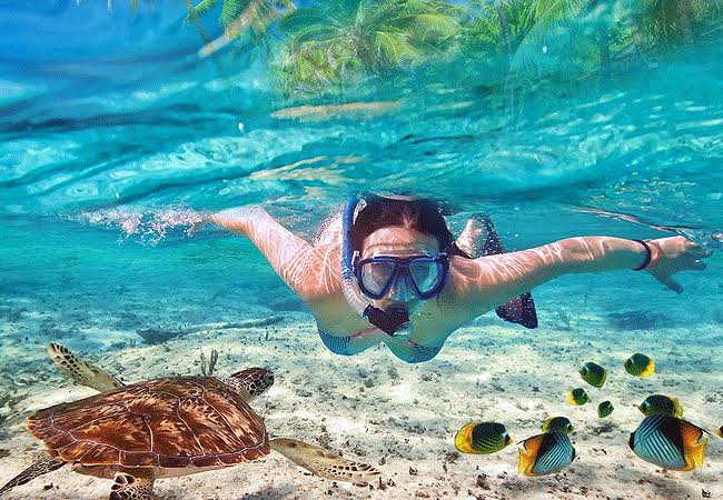 Watamu Marine National Reserve