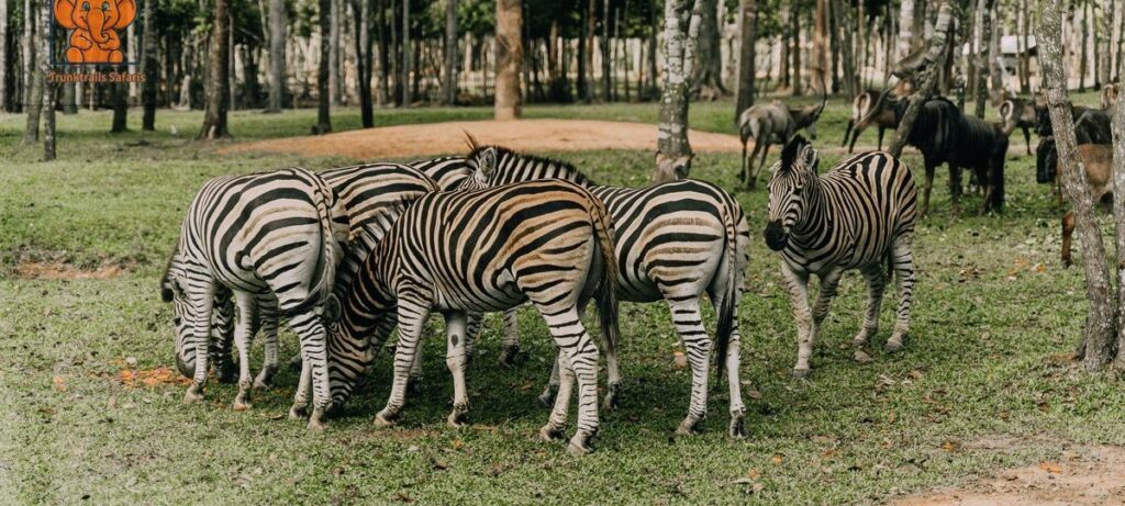 Mwingi National Reserve